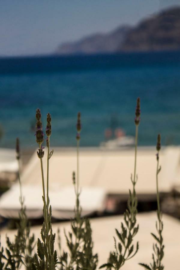 Sun & Sea Apartman Móhlosz Kültér fotó